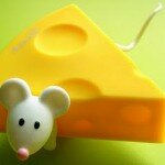 Who Moved YOUR Cheese? Making Changes Work For You